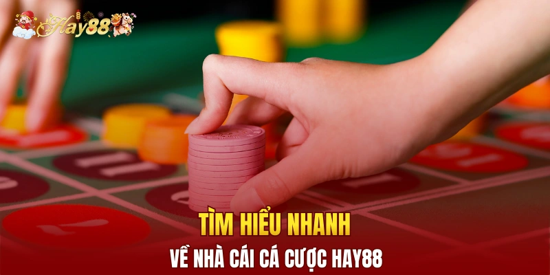 Tìm hiểu nhanh về nhà cái cá cược Hay88